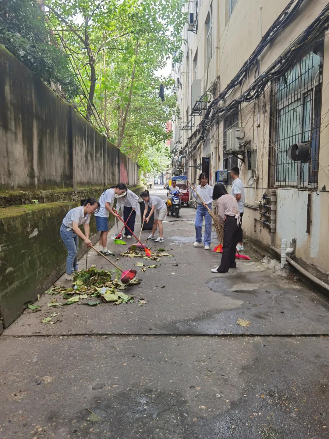 马博网页版_马博（中国）各团支部联合开展“青蒿行动”