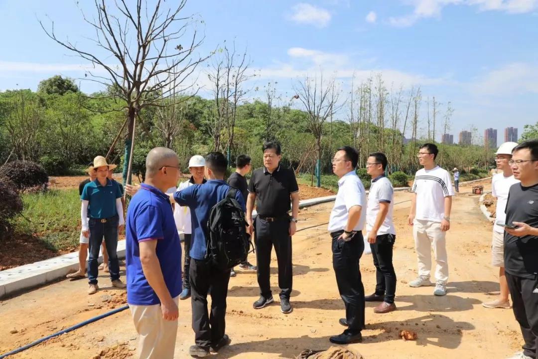 董事长谢荣华调研马博网页版_马博（中国）建设项目安全生产和项目推进工作