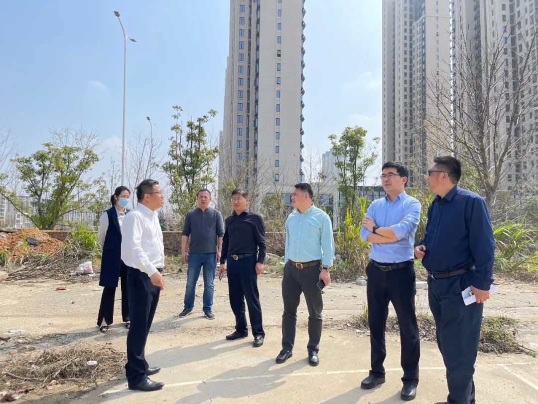 贺敏现场调研马博网页版_马博（中国）地产板块新摘土地项目