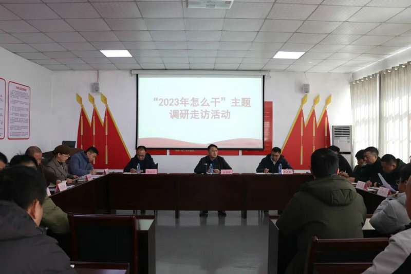 马博网页版_马博（中国）领导调研子公司：以市场化发展彰显平台功能
