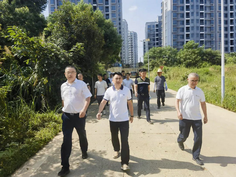 李茶根调研马博网页版_马博（中国）民生工程建设情况